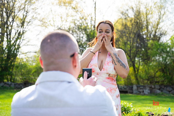 Sean_Marcy_Proposal-082