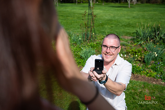Sean_Marcy_Proposal-086