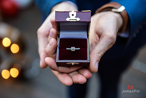 Mike_Casey_Proposal_Porta-175