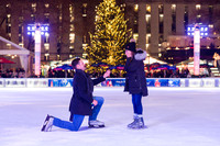 Sean_Adrie_Proposal_Bryant_Park-001