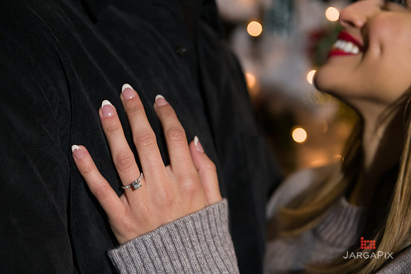 Sean_Adrie_Proposal_Bryant_Park-081