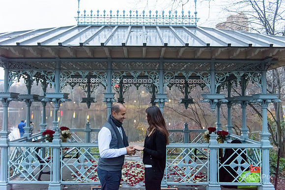 The_Heart_Bandits_Proposal_Basil_Jessica-115