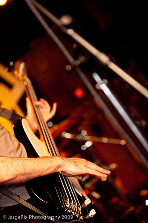 In_Musth@Trash_Bar-064.jpg