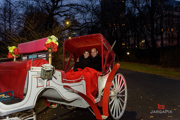 The_Heart_Bandits_Proposal_Basil_Jessica-143