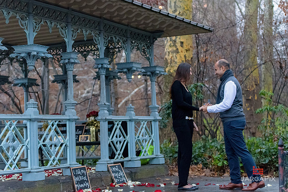 The_Heart_Bandits_Proposal_Basil_Jessica-095