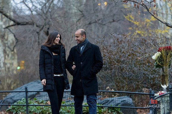 The_Heart_Bandits_Proposal_Basil_Jessica-062