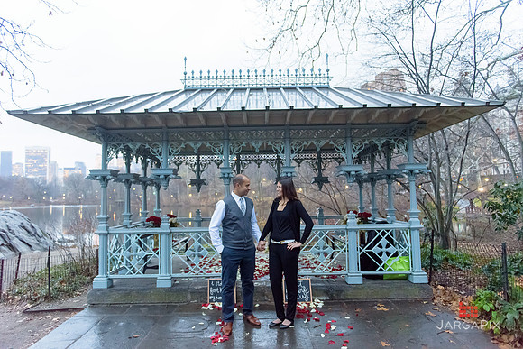 The_Heart_Bandits_Proposal_Basil_Jessica-119