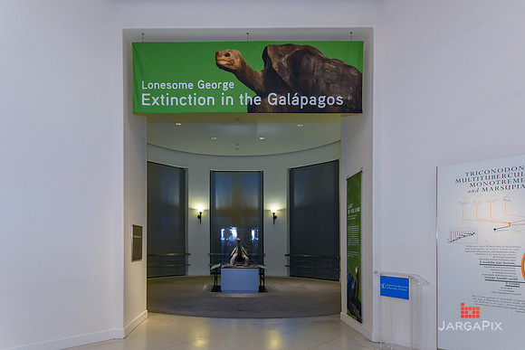 Galapagos_Conservancy_AMONH_Lonesome_George