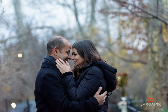 The_Heart_Bandits_Proposal_Basil_Jessica-084