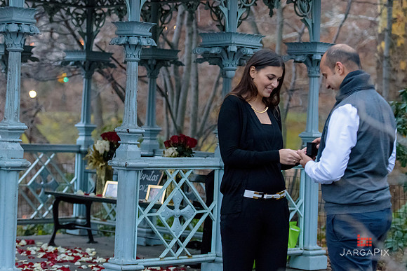 The_Heart_Bandits_Proposal_Basil_Jessica-099