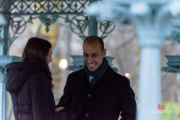 The_Heart_Bandits_Proposal_Basil_Jessica-060