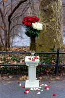 The_Heart_Bandits_Proposal_Basil_Jessica-012