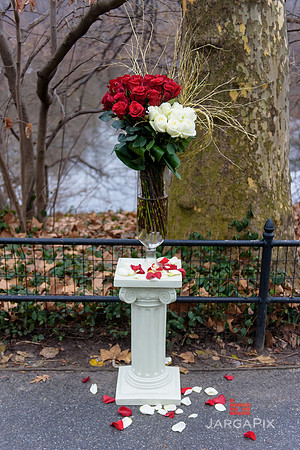 The_Heart_Bandits_Proposal_Basil_Jessica-012