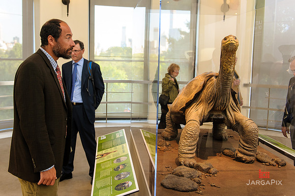 Galapagos_Conservancy_AMONH_Lonesome_George