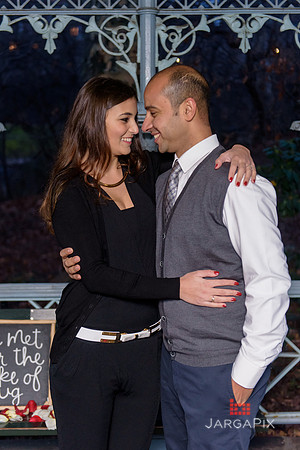 The_Heart_Bandits_Proposal_Basil_Jessica-138