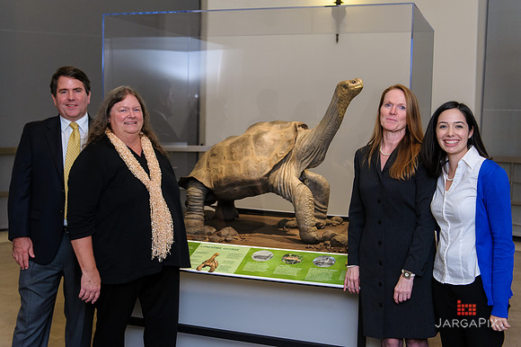 Galapagos_Conservancy_AMONH_Lonesome_George