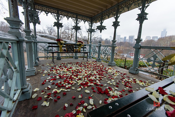 The_Heart_Bandits_Proposal_Basil_Jessica-026
