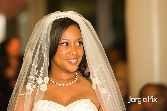 JargaPix Photography Wedding Gallery - New Jersey