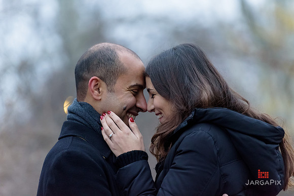 The_Heart_Bandits_Proposal_Basil_Jessica-087