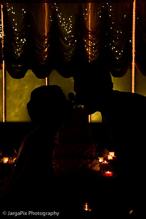 Mike_Randy_Wedding-1271