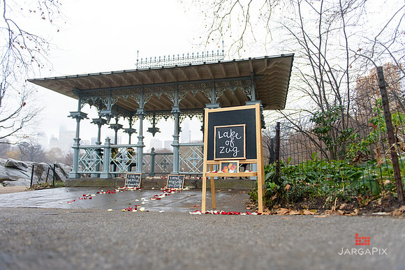 The_Heart_Bandits_Proposal_Basil_Jessica-019