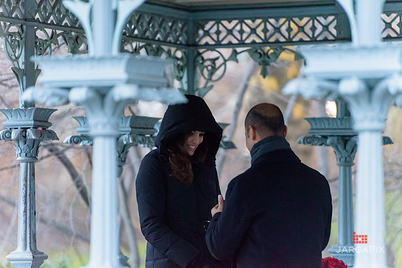 The_Heart_Bandits_Proposal_Basil_Jessica-041