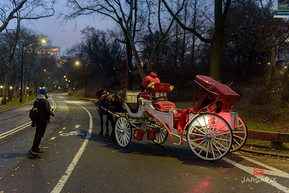 The_Heart_Bandits_Proposal_Basil_Jessica-150