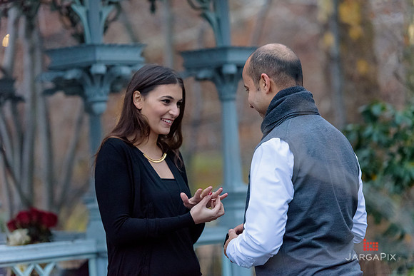 The_Heart_Bandits_Proposal_Basil_Jessica-102