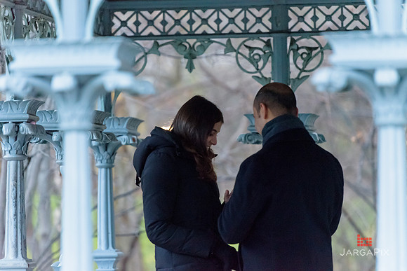 The_Heart_Bandits_Proposal_Basil_Jessica-049