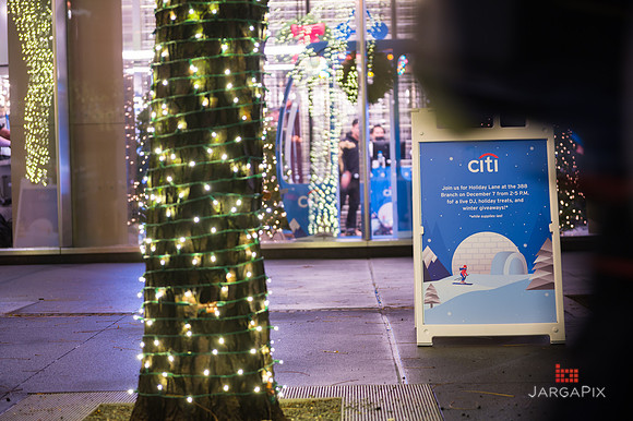 Soho_Citi_388_Holiday_Lane_2022-179