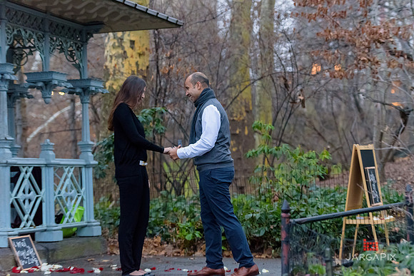 The_Heart_Bandits_Proposal_Basil_Jessica-093