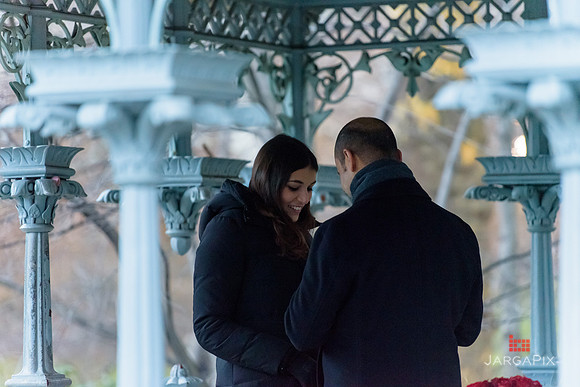 The_Heart_Bandits_Proposal_Basil_Jessica-047