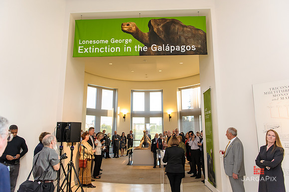 Galapagos_Conservancy_AMONH_Lonesome_George