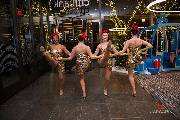 Soho_Citi_388_Holiday_Lane_2022-237