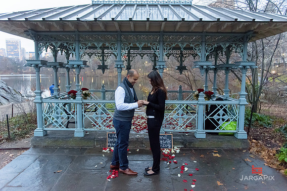The_Heart_Bandits_Proposal_Basil_Jessica-114