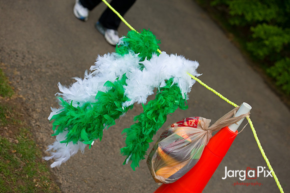 LLS_Quest_for_the_Cure_RunWalk-287