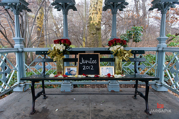 The_Heart_Bandits_Proposal_Basil_Jessica-008