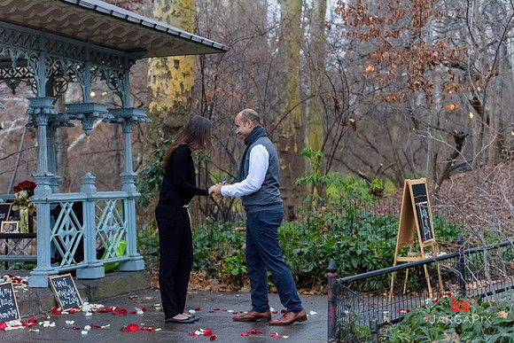 The_Heart_Bandits_Proposal_Basil_Jessica-091