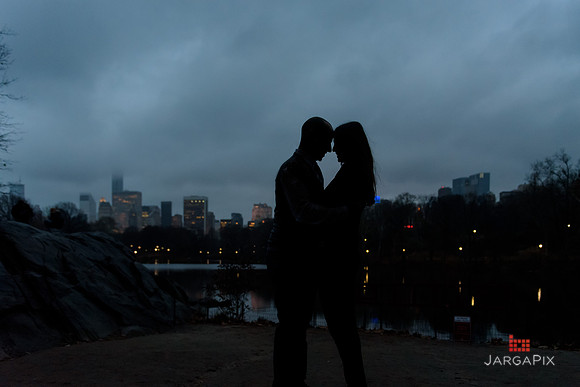 The_Heart_Bandits_Proposal_Basil_Jessica-127