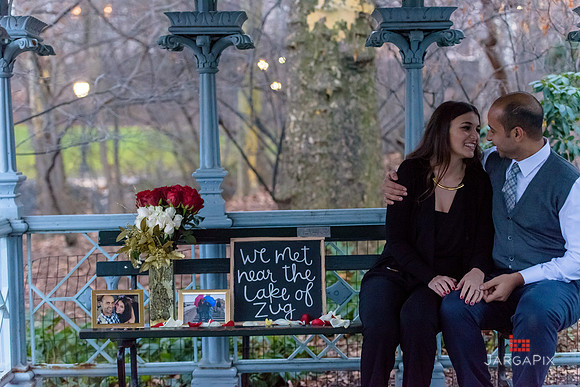 The_Heart_Bandits_Proposal_Basil_Jessica-131