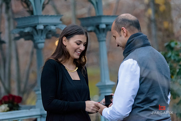 The_Heart_Bandits_Proposal_Basil_Jessica-097