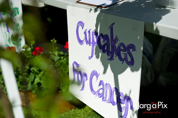LLS_Quest_for_the_Cure_RunWalk-248