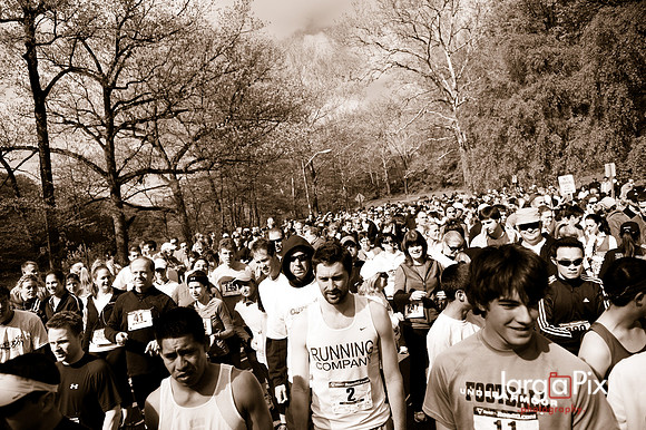 LLS_Quest_for_the_Cure_RunWalk-092
