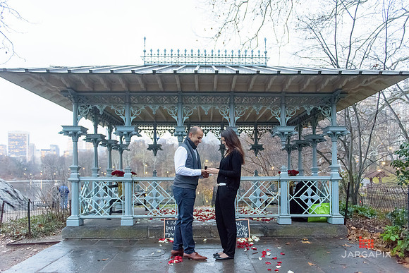 The_Heart_Bandits_Proposal_Basil_Jessica-110