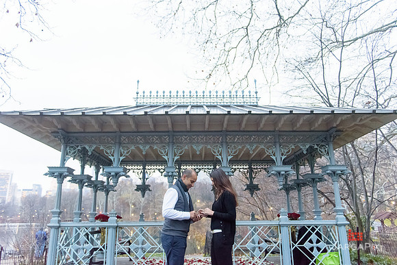 The_Heart_Bandits_Proposal_Basil_Jessica-112