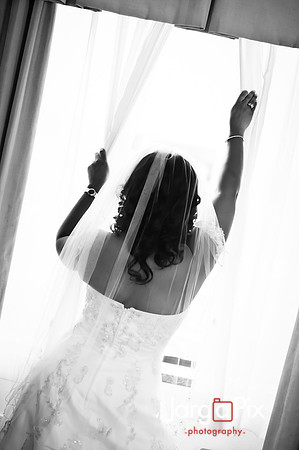JargaPix Photography Wedding Gallery - New Jersey