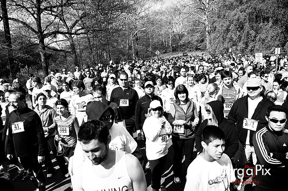 LLS_Quest_for_the_Cure_RunWalk-085