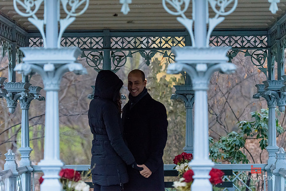 The_Heart_Bandits_Proposal_Basil_Jessica-032