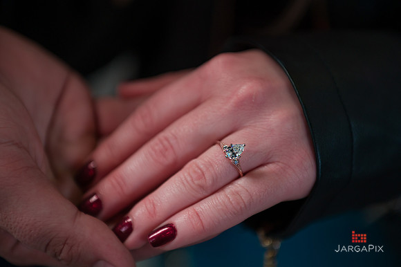 HB_James_Amanda_Proposal_NYC--061