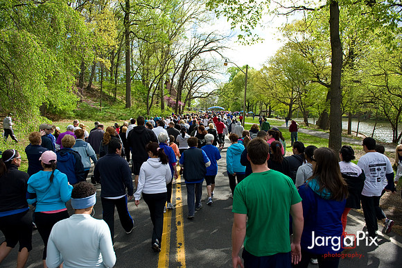 LLS_Quest_for_the_Cure_RunWalk-117
